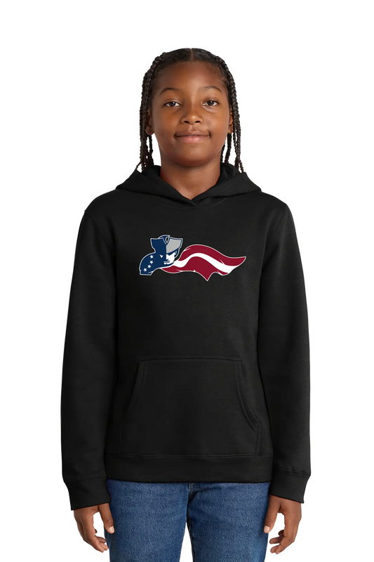 Person wearing a black hoodie with an American flag design on a white background. Paper Street Print Co, Blairstown, NJ.