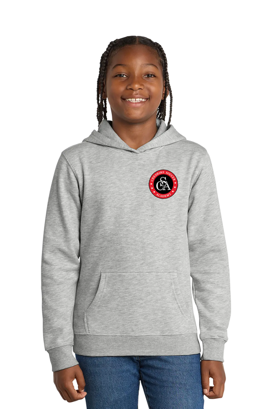Child wearing a gray hoodie with a red and black logo on a white background. Paper Street Print Co, Blairstown, NJ.