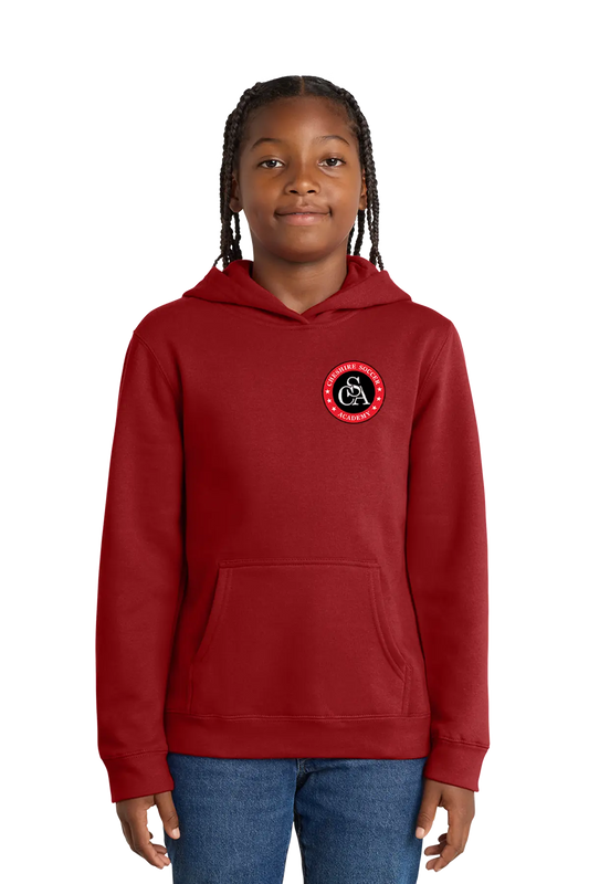 Child wearing a red hoodie with a logo on a white background. Paper Street Print Co, Blairstown, NJ.